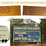 जंगल में बाँधवगढ़