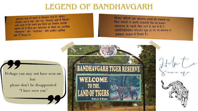 जंगल में बाँधवगढ़